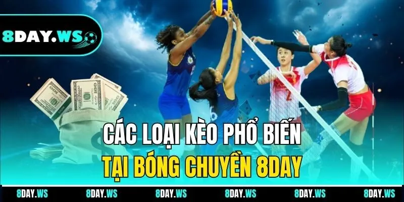 Các loại kèo phổ biến tại bóng chuyền 8DAY