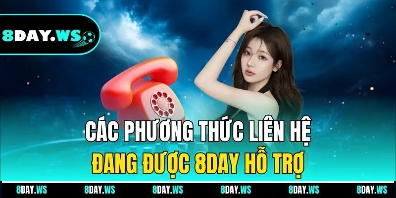 Các phương thức liên hệ đang được 8DAY hỗ trợ