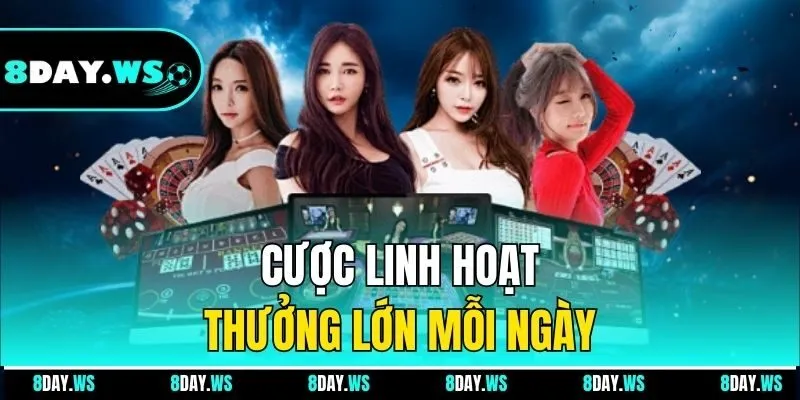 Cược linh hoạt, thưởng lớn mỗi ngày